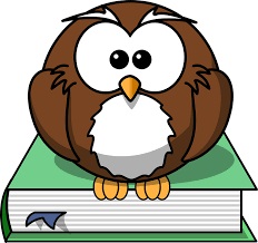 cartoon Owl on book